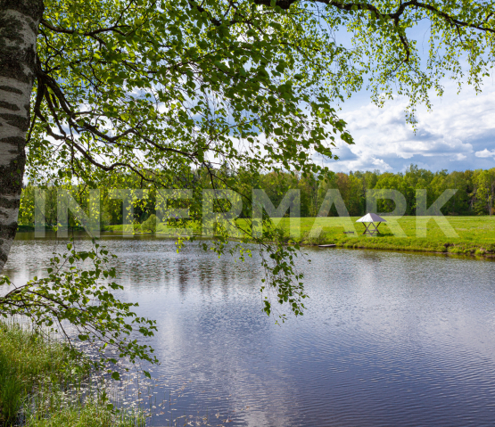 Plot, 7000 ac Settlement &quot;Usad'ba Maleyevka&quot; Minskoe 80 km, Photo 40