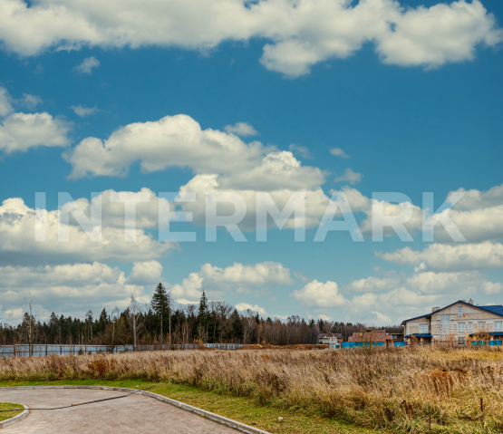 Plot, 75 ac Settlement &quot;Papushevo&quot; Rublevo-Uspenskoe 24 km, Photo 4