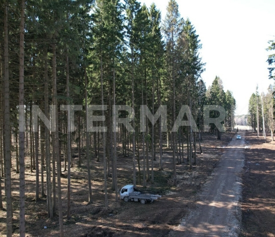 Plot, 9.6 ac &nbsp; Leningradskoe 13 km, Photo 2