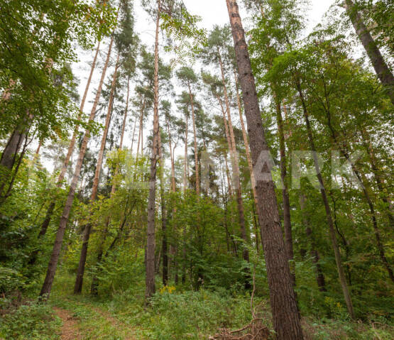 Settlement Settlement &quot;Gorki-21&quot; Rublevo-Uspenskoe, 15 km, Photo 1