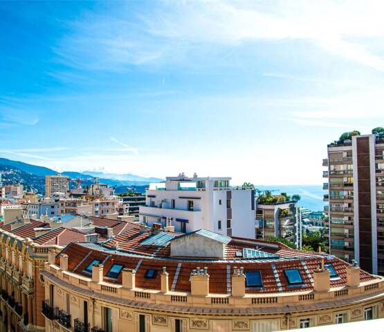  Monaco Фри-Стейт, Фото 1