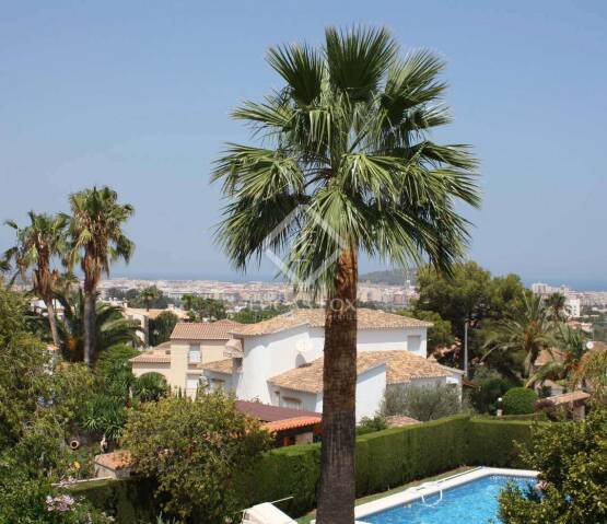  Dénia Alicante, Фото 1
