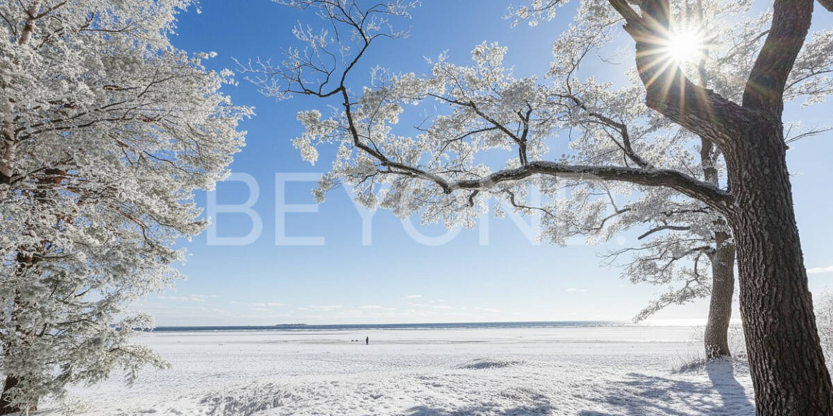 Квартира  Санкт-Петербург г., Ленинградская область, Курортный р-он, город Сестрорецк, ул. Пляжная , Фото 1