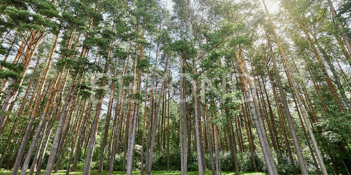 Квартира  Санкт-Петербург г., г. Сестрорецк, ул. Парковая , Фото 1