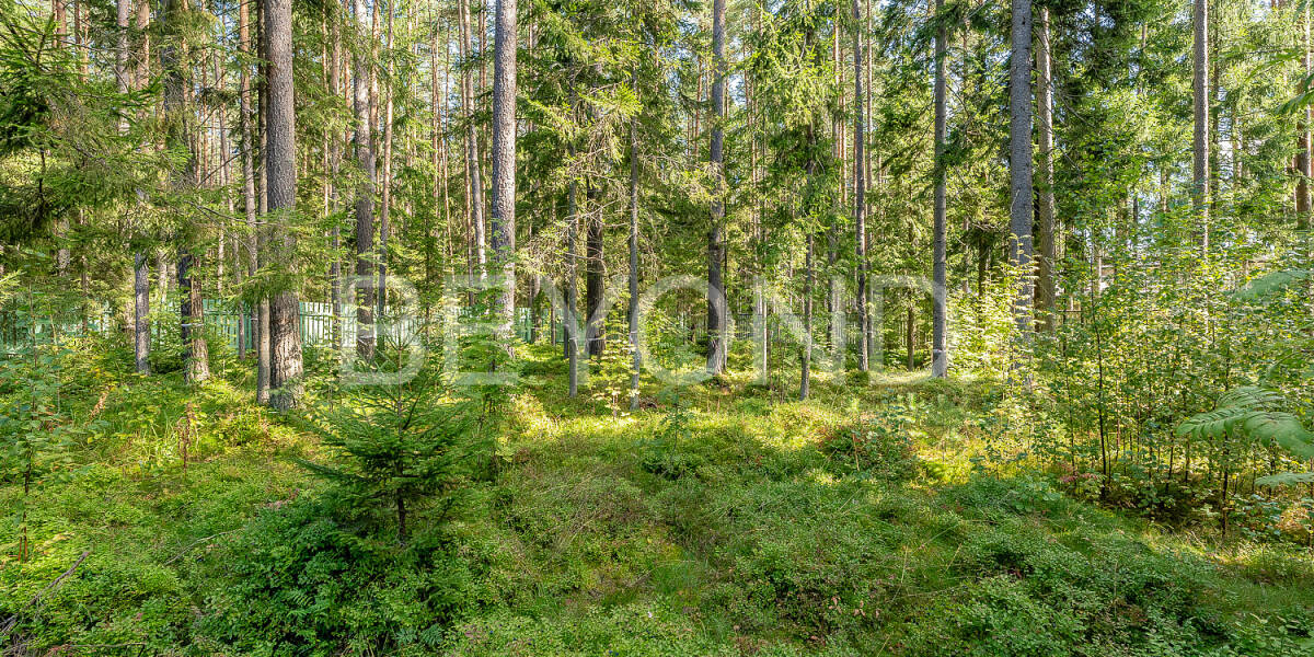 Квартира  Санкт-Петербург г., г. Санкт-Петербург, Курортный район, г. Зеленогорск, ул. Курортная , Фото 1