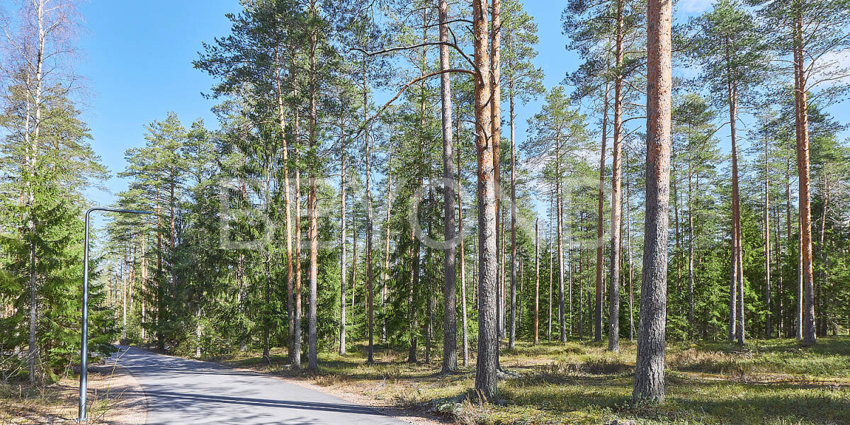 Apartment  Санкт-Петербург г., Российская Федерация Ленинградская область Выборгский Муниципальный район Первомайское сельское поселение пос Ильичево , Photo 1