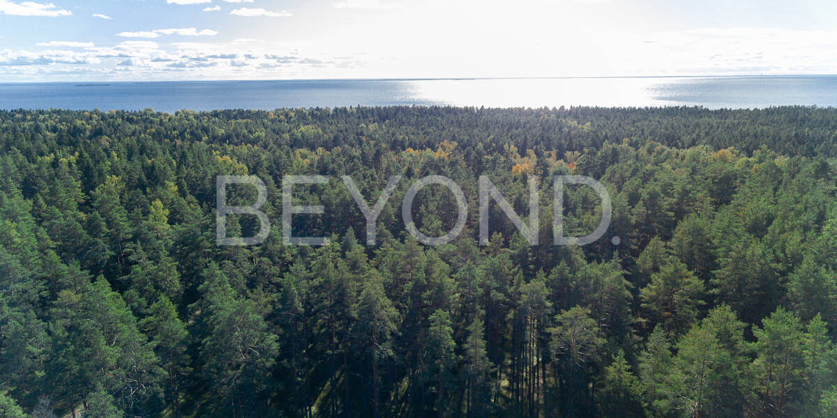 Квартира  Санкт-Петербург г., Курортный район, пос. Комарово, Лесной пр. , Фото 1