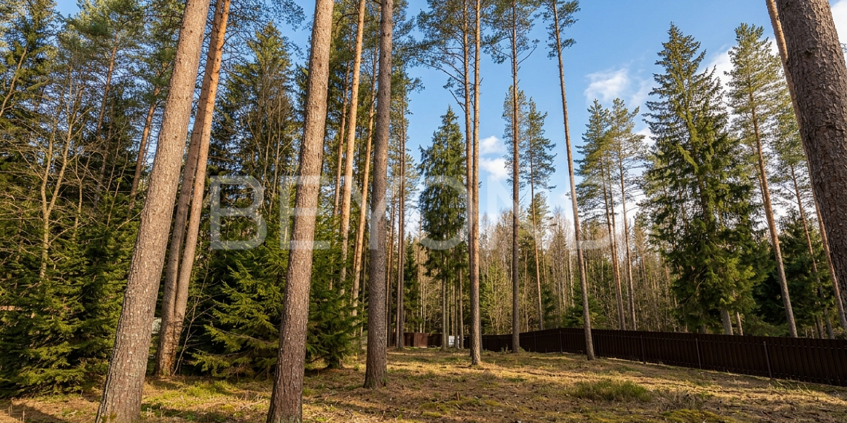 Квартира  Санкт-Петербург г., Ленинградская область, Всеволожский район, поселок Западная Лица, улица Северная , Фото 1