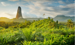 Инвестиционная программа гражданства Сан-Томе и Принсипи