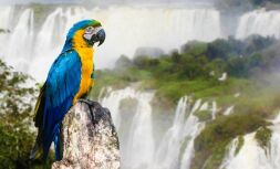 ВНЖ и гражданство Парагвая 2026: почему россияне выбирают Латинскую Америку?